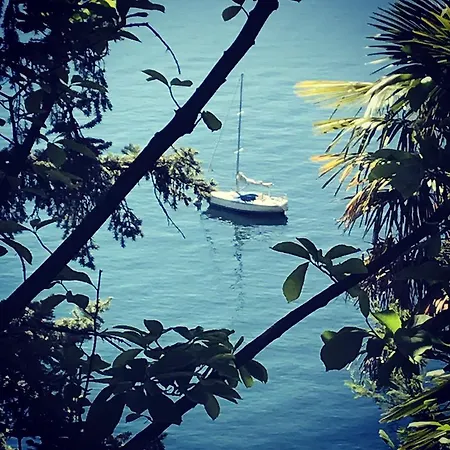 Bed and Breakfast Angelina