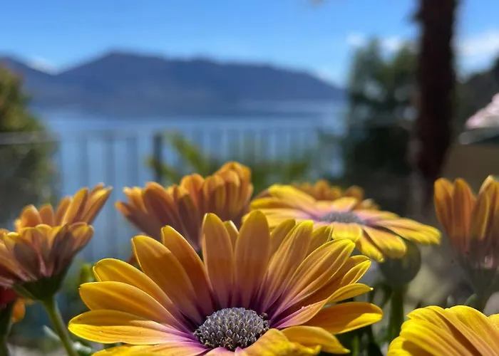 Angelina 3* Cannero Riviera