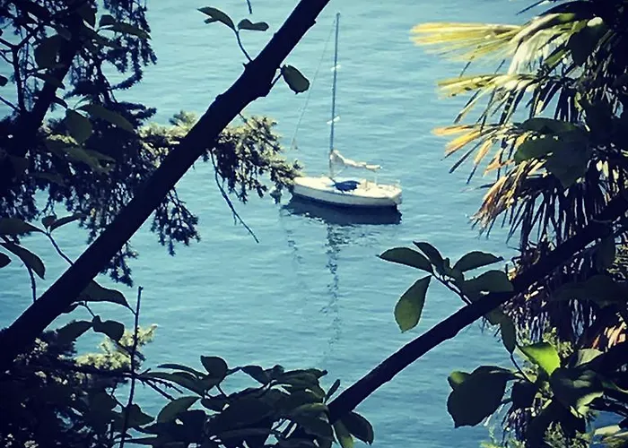 Bed & Breakfast Angelina